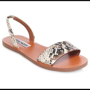 Steve Madden Sandal Flat - 8.0